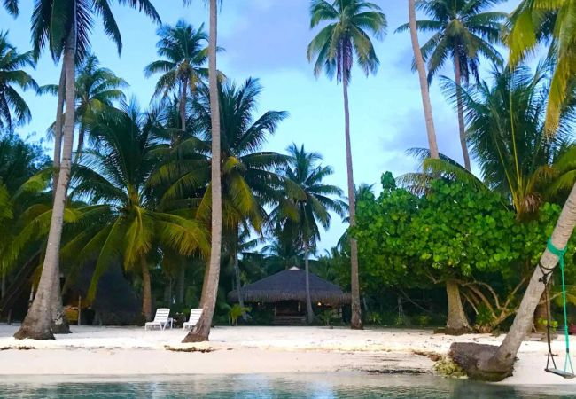Bungalow a Hipu - TAHAA - Motu Lodge Maohi  Bungalow a Hipu - TAHAA - Motu Lodge Maohi