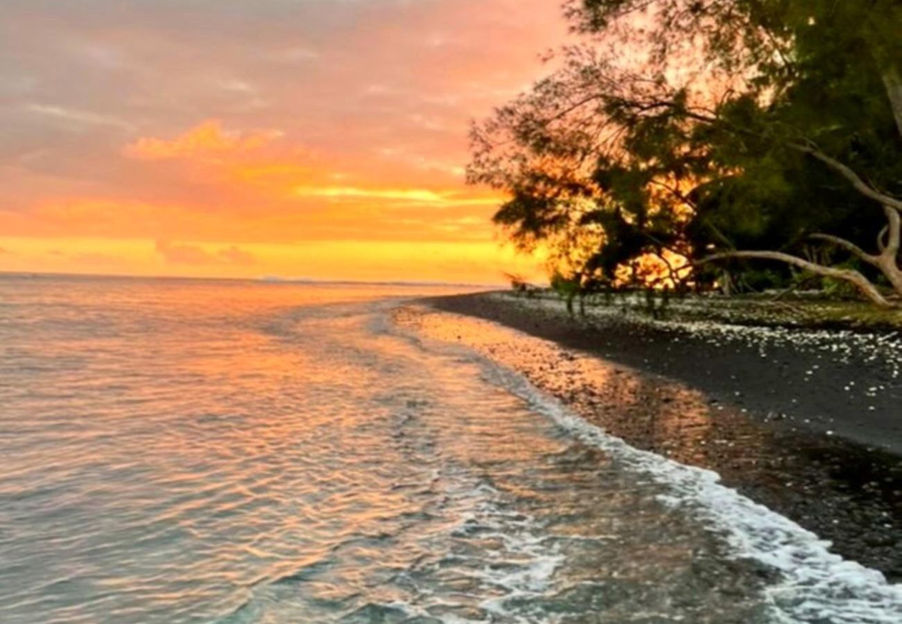 Studio a Papara - TAHITI - Mango Lodge Hotu   Studio a Papara - TAHITI - Mango Lodge Hotu