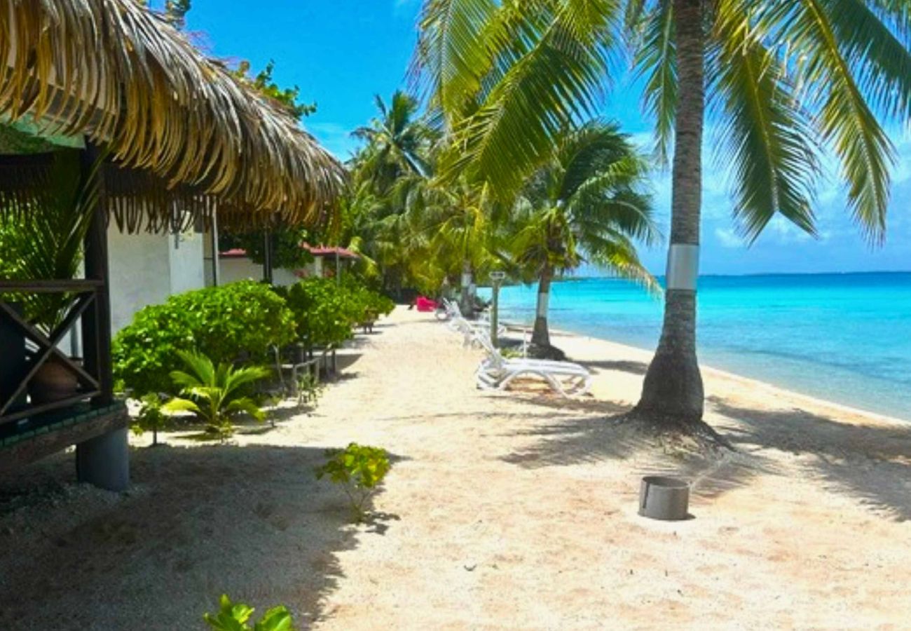 Bungalow a Ahe - AHE - Bungalow Moemoea Lagoon 1 Bungalow a Ahe - AHE - Bungalow Moemoea Lagoon 1