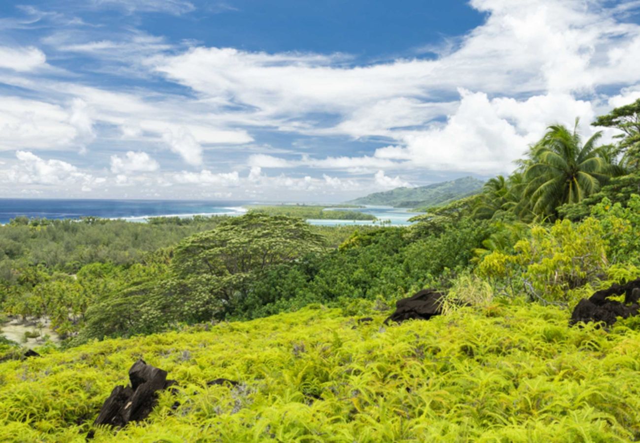 Casa a Huahine-Nui - HUAHINE - MAROE ROOM 1  Casa a Huahine-Nui - HUAHINE - MAROE ROOM 1