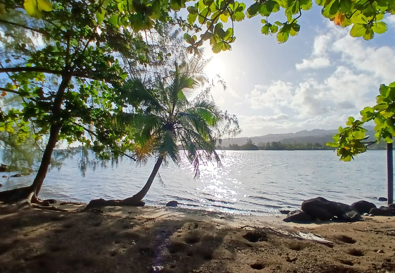 Casa a Taiarapu-Ouest - TAHITI ITI - Fare Pihiti Spot  Casa a Taiarapu-Ouest - TAHITI ITI - Fare Pihiti Spot