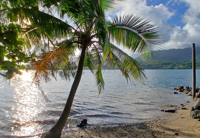 Casa a Taiarapu-Ouest - TAHITI ITI - Fare Komako Spot  Casa a Taiarapu-Ouest - TAHITI ITI - Fare Komako Spot