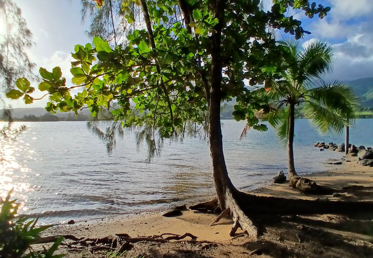 Casa a Taiarapu-Ouest - TAHITI ITI - Fare Komako Spot  Casa a Taiarapu-Ouest - TAHITI ITI - Fare Komako Spot