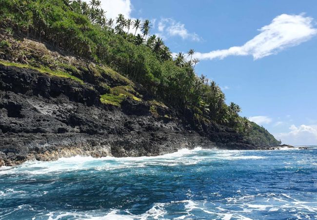 Casa a Teahupoo - TAHITI ITI - Fare Vaiavaro Teahupoo Casa a Teahupoo - TAHITI ITI - Fare Vaiavaro Teahupoo