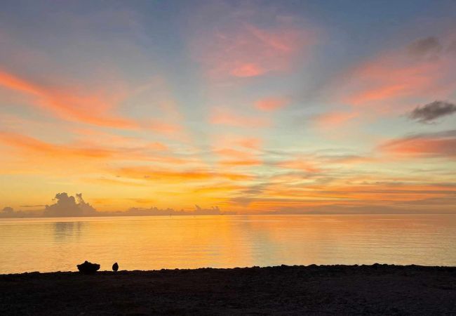 Studio a Fakarava  -  FAKARAVA - ANA LAGOON LODGE - PITI