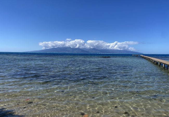 Bungalow a Maatea - MOOREA - Naku Kahi Bungalow 1 Bungalow a Maatea - MOOREA - Naku Kahi Bungalow 1