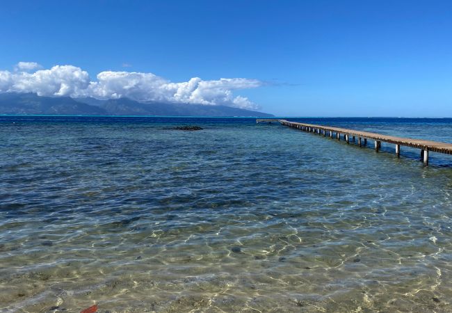 Bungalow a Maatea - MOOREA - Naku Kahi Bungalow 1 Bungalow a Maatea - MOOREA - Naku Kahi Bungalow 1