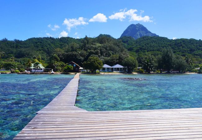 Bungalow a Maatea - MOOREA - Naku Kahi Bungalow 1 Bungalow a Maatea - MOOREA - Naku Kahi Bungalow 1