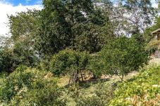 Casa a Arue - TAHITI - Villa Aorai Hills & Pool