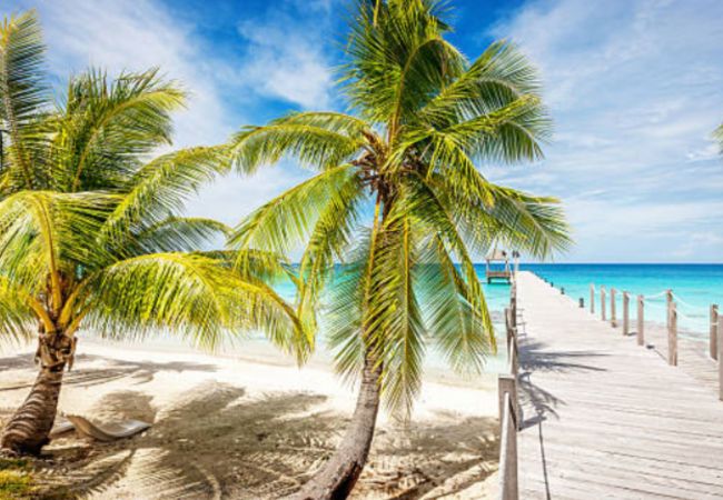 Casa a Maeva - HUAHINE- Angèle House Casa a Maeva - HUAHINE- Angèle House