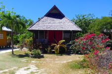 Bungalow a Maupiti  - MAUPITI - MOTU TIAPA'A BUNGALOW JARDIN 4