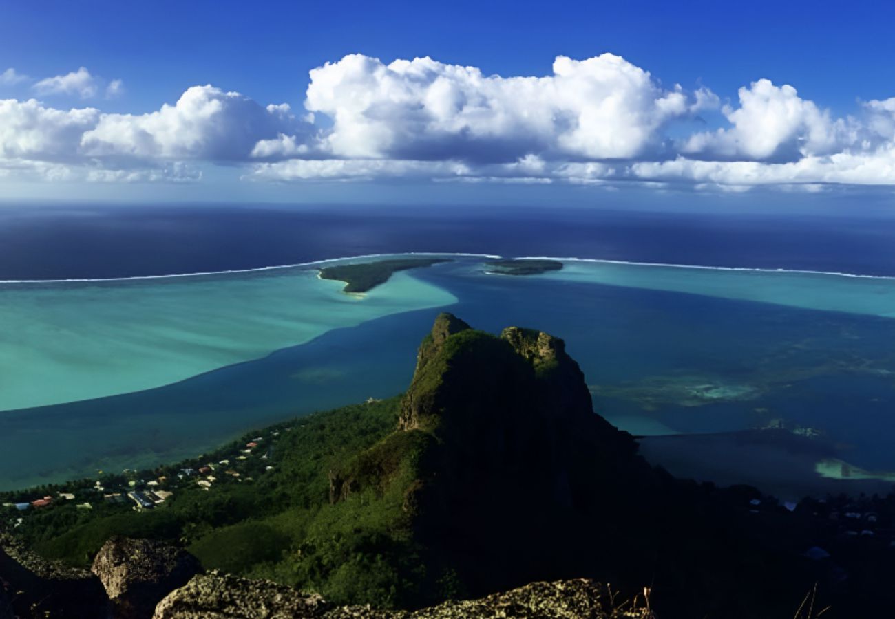Studio a Maupiti  - MAUPITI- Sea view bungalow en 1/2 pension Studio a Maupiti  - MAUPITI- Sea view bungalow en 1/2 pension