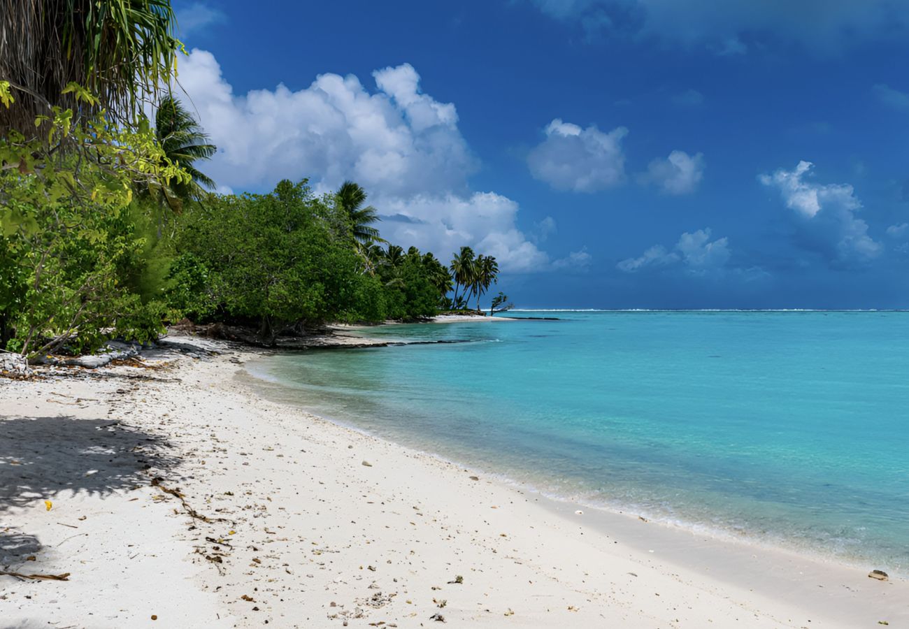 Studio a Maupiti  - MAUPITI- Sea view family bungalow en 1/2 pension Studio a Maupiti  - MAUPITI- Sea view family bungalow en 1/2 pension
