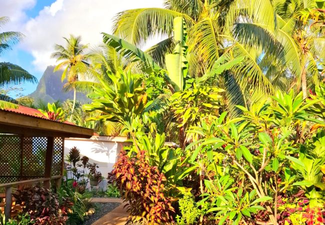 Bungalow a Vai'anae - MOOREA - Fare Tipanier