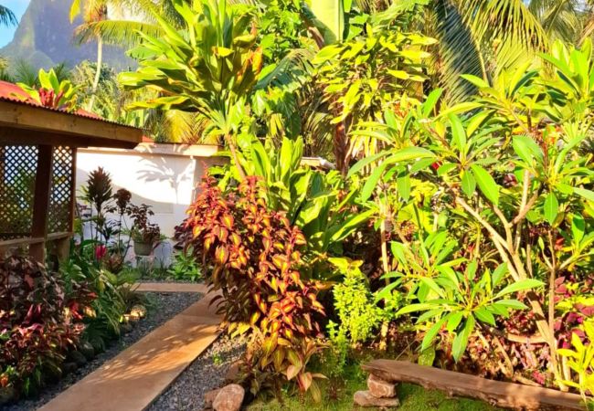 Bungalow a Vai'anae - MOOREA - Fare Taina Ocean View