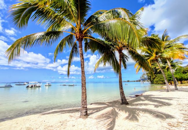Plage des Tipaniers en accès direct depuis le Fare Taina Dream Beach Entrée à la plage de la résidence