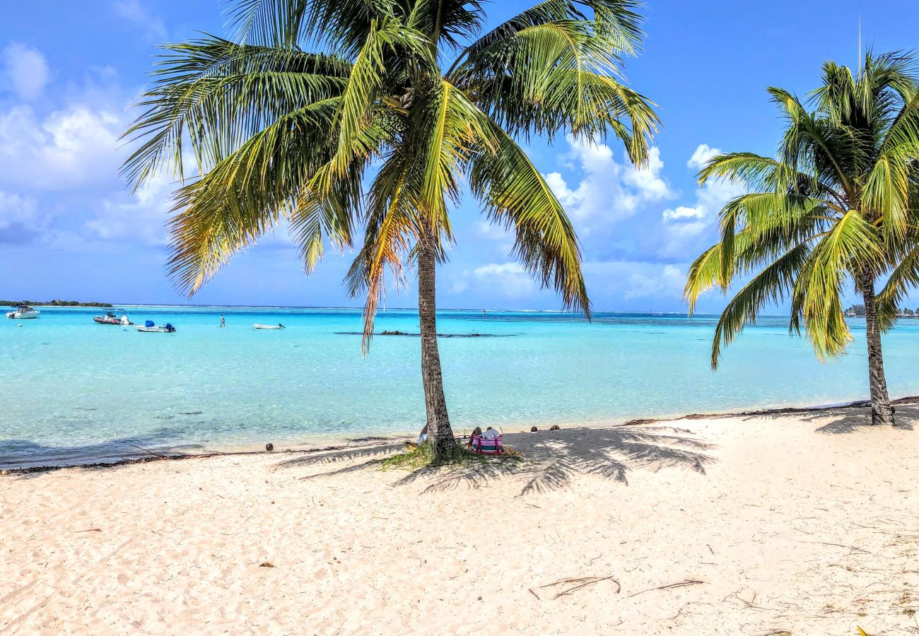 Jolie plage aux eaux claires en accès direct depuis al maison Plage de sable blanc, de la résidence