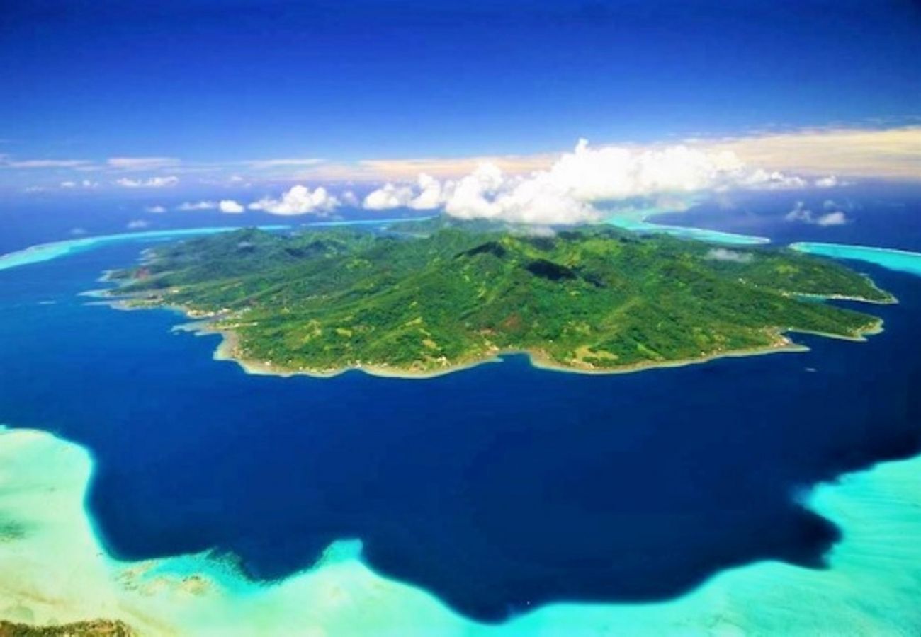 Tahaa l'île Vanille et son lagon  Ile de TAHAA