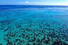 Maison à Haapiti - MOOREA - Fare Taina Nui