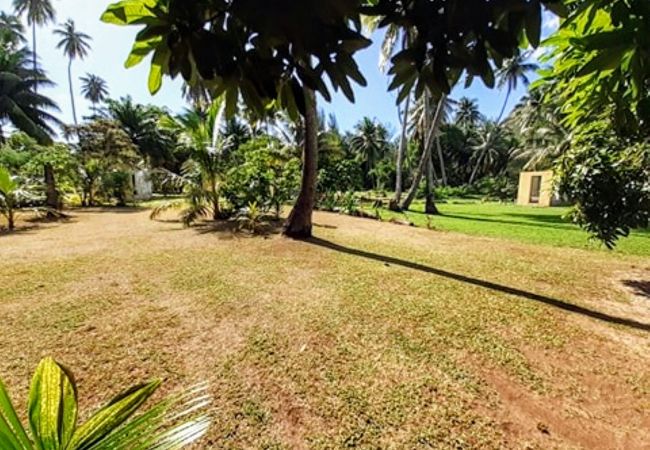 Bungalow à Tiahura - MOOREA - Local Spirit Family 3 Bungalow à Tiahura - MOOREA - Local Spirit Family 3