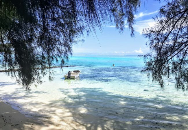 Bungalow à Tiahura - MOOREA - Local Spirit Family 3 Bungalow à Tiahura - MOOREA - Local Spirit Family 3