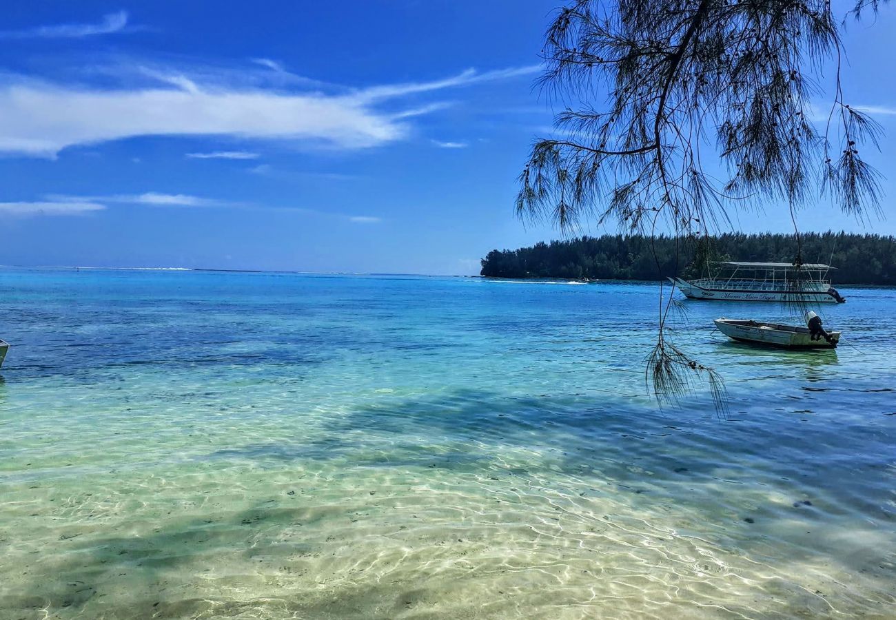 Vue sur motu depuis la plage  Vue motu