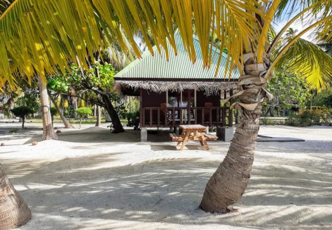 Le bungalow avec vue Le bungalow