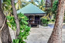 Bungalow à Tuherahera - TIKEHAU - Bungalow AITO Family