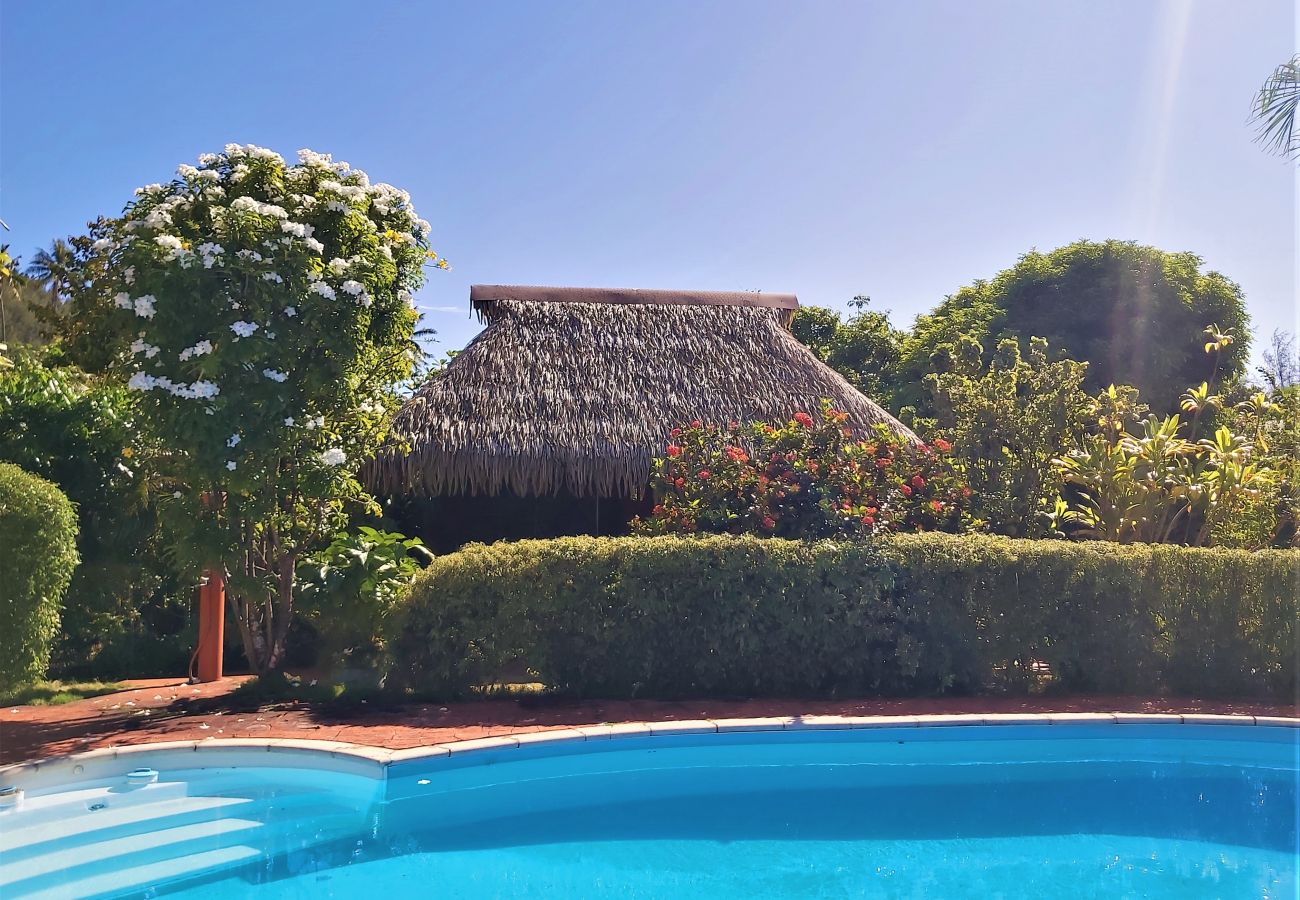 Chambres d'hôtes à Fare - HUAHINE - Bungalow Opuhi 3p