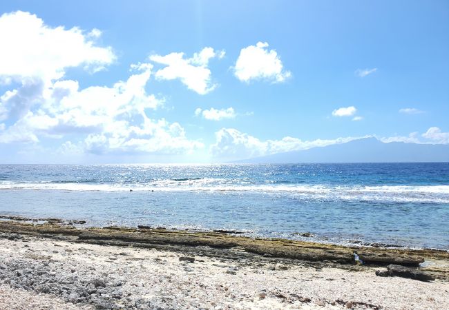 Maison à Temae - MOOREA - Fare Coraline Right Maison à Temae - MOOREA - Fare Coraline Right