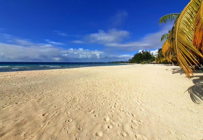 Bungalow à Tuherahera - TIKEHAU - Fare Aito 