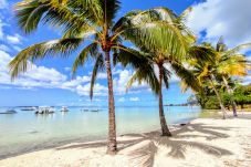 Bungalow à Tiahura - MOOREA - Tropical Soul