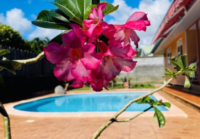 Maison à Faa´a - TAHITI - Fare Vairai Pool  Maison à Faa´a - TAHITI - Fare Vairai Pool