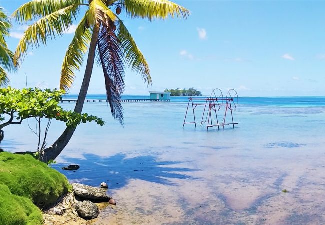 Maison à Raiatea - RAIATEA - Fare Te Hanatua Maison à Raiatea - RAIATEA - Fare Te Hanatua