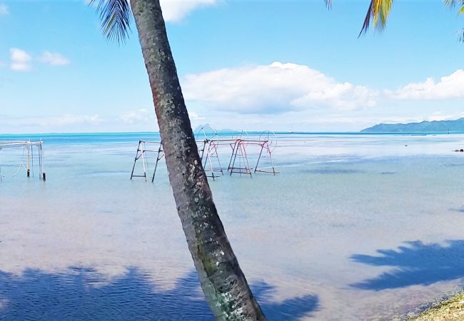 Maison à Raiatea - RAIATEA - Fare Te Hanatua Maison à Raiatea - RAIATEA - Fare Te Hanatua