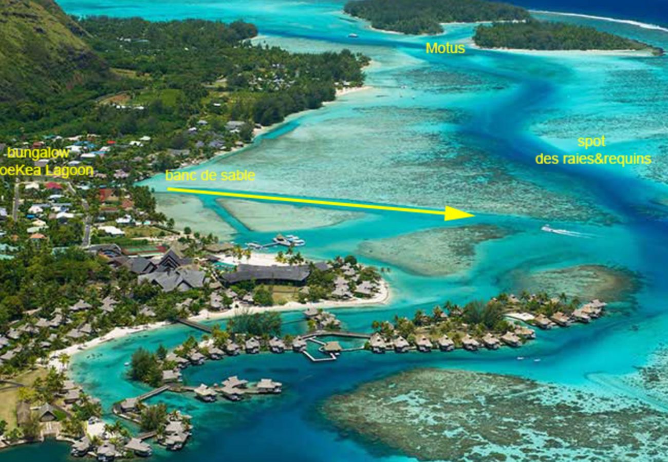 Bungalow à Tiahura - MOOREA - Bungalow Moekea Lagoon Bungalow à Tiahura - MOOREA - Bungalow Moekea Lagoon