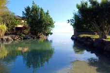 Bungalow à Tiahura - MOOREA - Bungalow Moekea Lagoon
