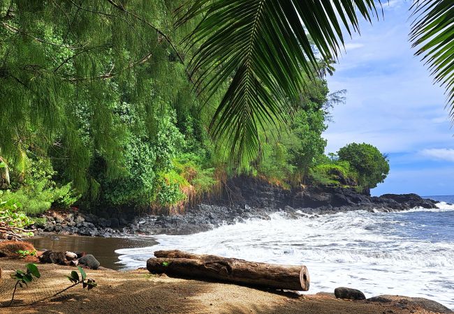 Maison à Hitia´a O Te Ra - FARE TE PARI Maison à Hitia´a O Te Ra - FARE TE PARI