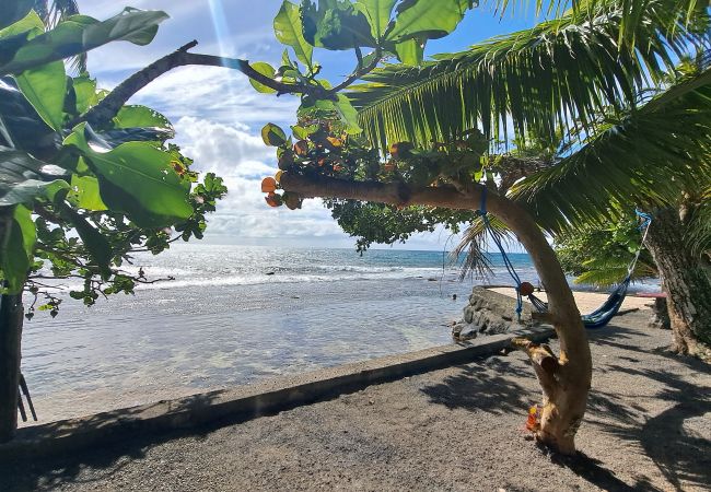 Maison à Taiarapu-Est - TAHITI - Motu Nono Beach View Maison à Taiarapu-Est - TAHITI - Motu Nono Beach View