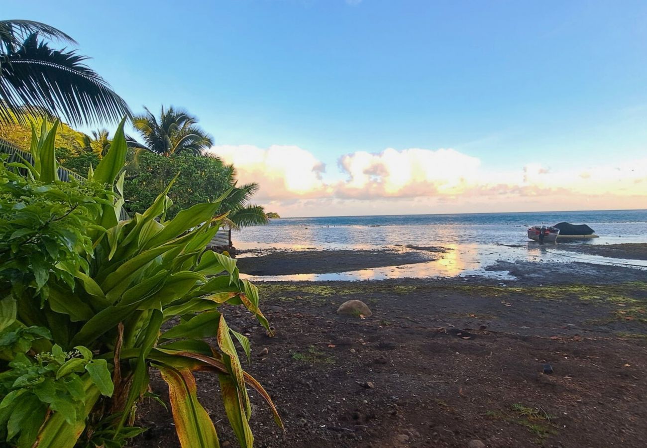 Bungalow à Taiarapu-Ouest -  TAHITI ITI - Bungalow HAVAE Bungalow à Taiarapu-Ouest -  TAHITI ITI - Bungalow HAVAE