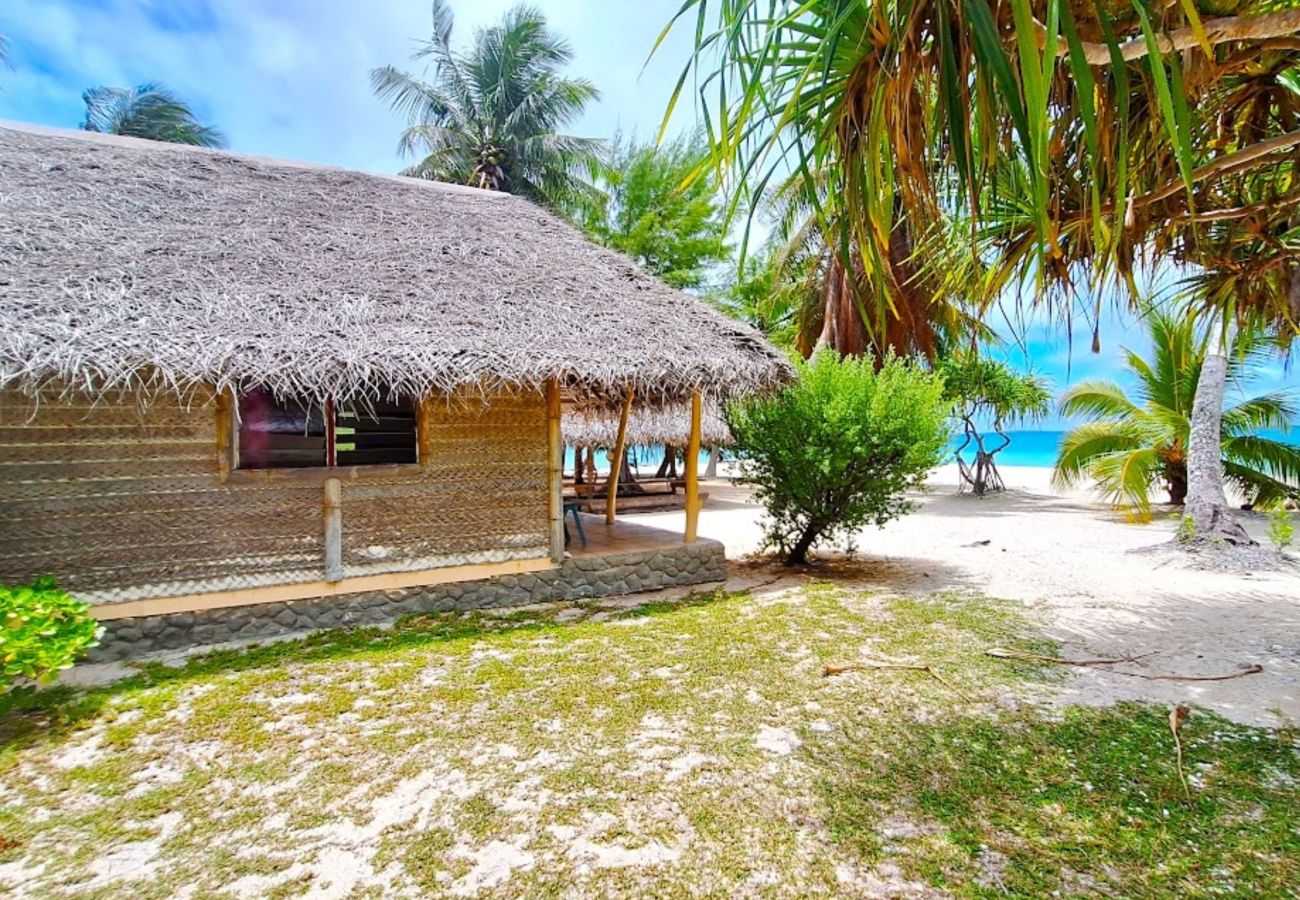 Chambres d'hôtes à Tikehau - TIKEHAU - Bungalow Pacific Beach 2 Chambres d'hôtes à Tikehau - TIKEHAU - Bungalow Pacific Beach 2