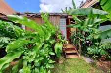 Studio à Hauru - MOOREA - Studio Natura