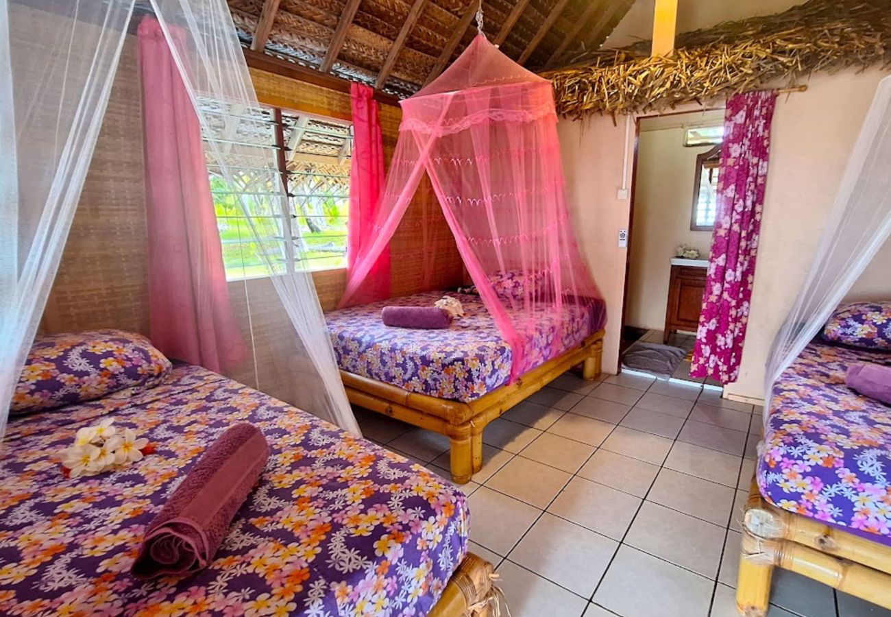 Chambres d'hôtes à Tikehau - TIKEHAU - Bungalow Pacific Beach Family  Chambres d'hôtes à Tikehau - TIKEHAU - Bungalow Pacific Beach Family
