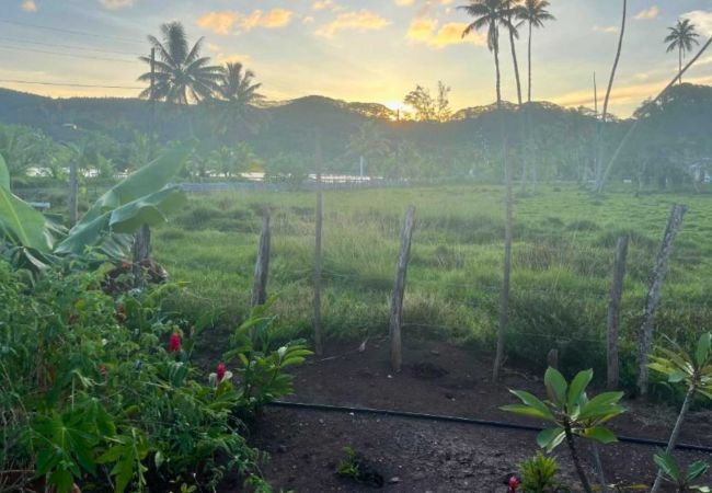 Maison à Huahine-Nui - HUAHINE - MAROE ROOM 1  Maison à Huahine-Nui - HUAHINE - MAROE ROOM 1