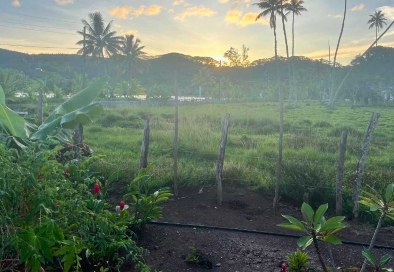 Maison à Huahine-Nui - HUAHINE - MAROE ROOM 1  Maison à Huahine-Nui - HUAHINE - MAROE ROOM 1