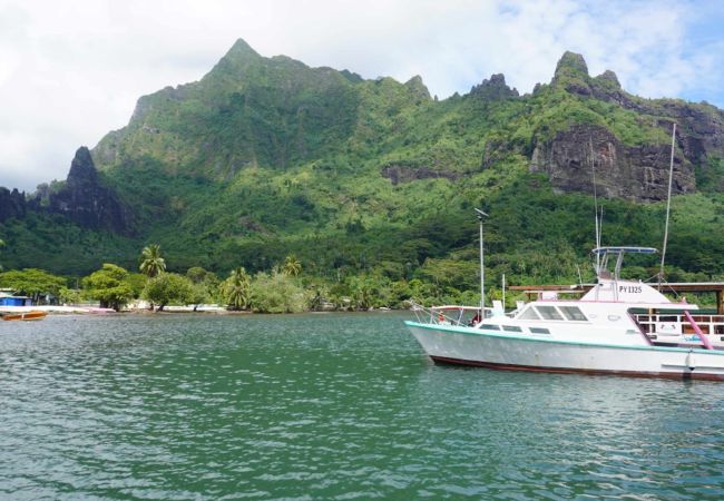 Bungalow à Haapiti - MOOREA - Bungalow Anua Ute Ute  Bungalow à Haapiti - MOOREA - Bungalow Anua Ute Ute