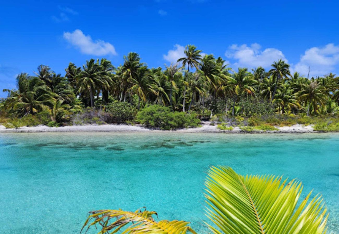Bungalow à Tikehau - TIKEHAU - Bungalow Motu Beach 1 