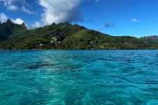 Studio à Haapiti - MOOREA - Bungalow Nauhei Surf Spot 1 