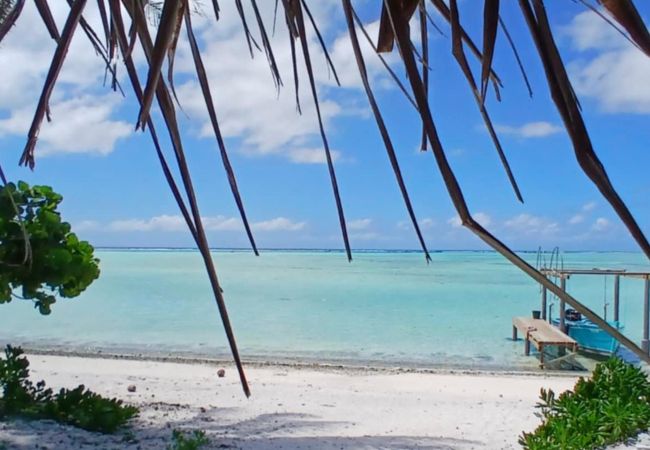 Maison à Maupiti  - MAUPITI- FARE MOTU MAUPITI Maison à Maupiti  - MAUPITI- FARE MOTU MAUPITI