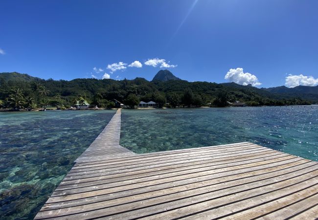 Bungalow à Maatea - MOOREA - Naku Kahi Bungalow 3 Bungalow à Maatea - MOOREA - Naku Kahi Bungalow 3